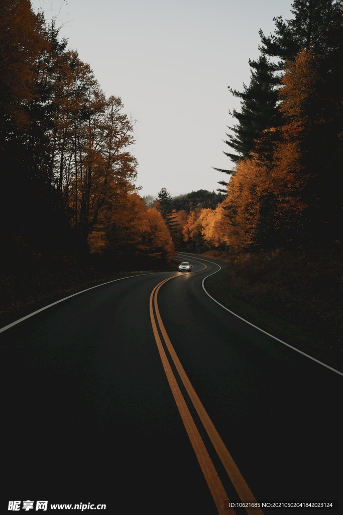 公路             