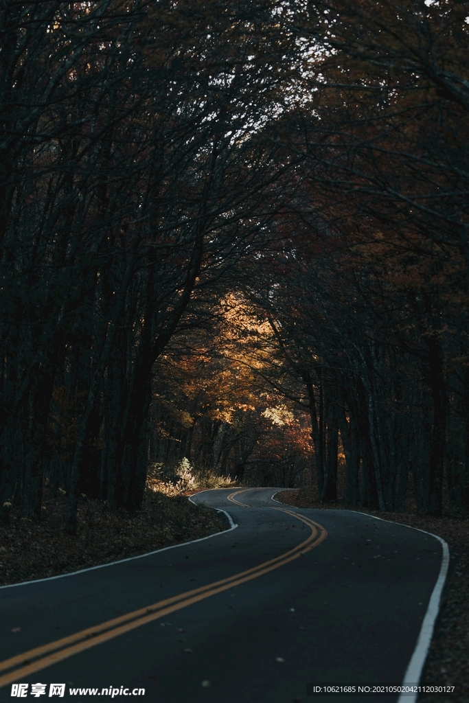 公路             