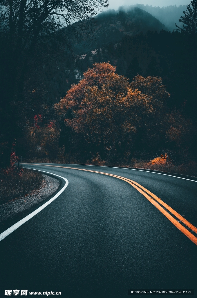 公路             