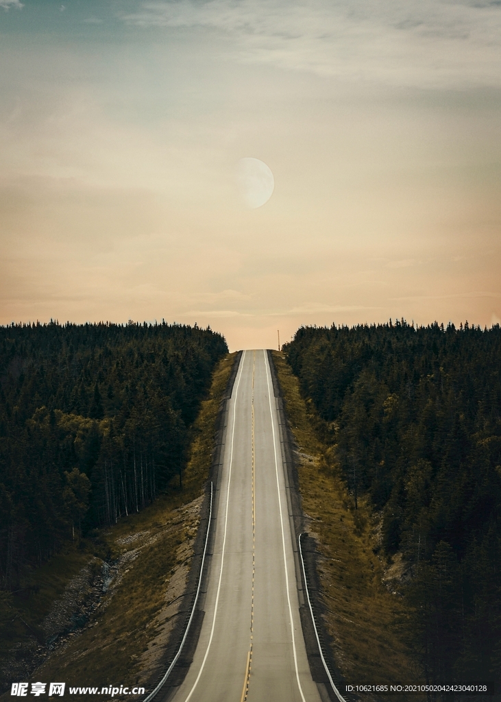 公路             
