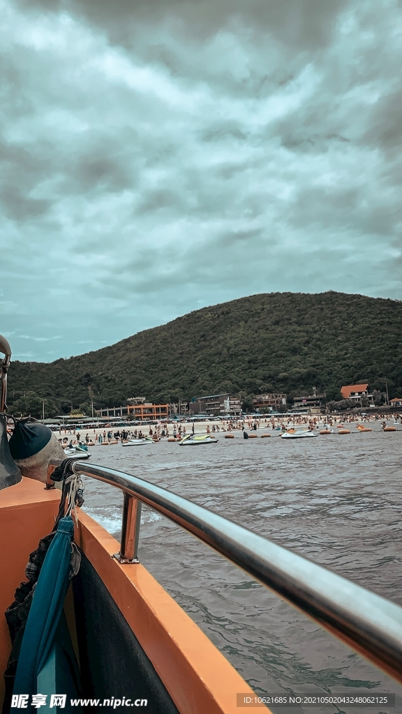 海豚             