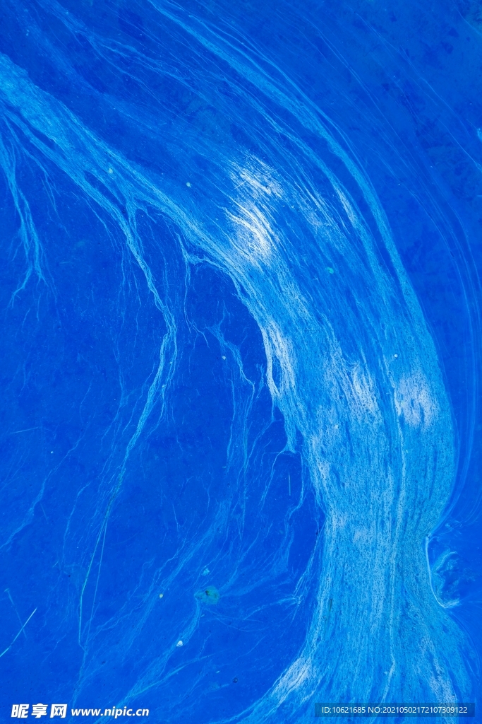 海洋             