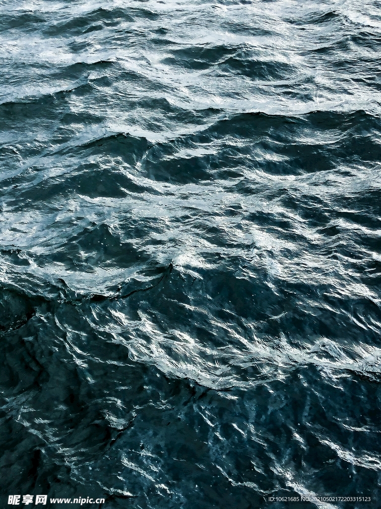 海洋             