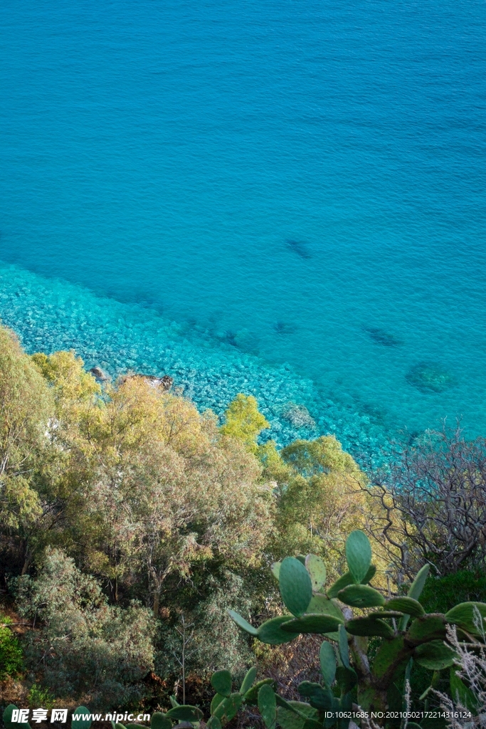 海洋             