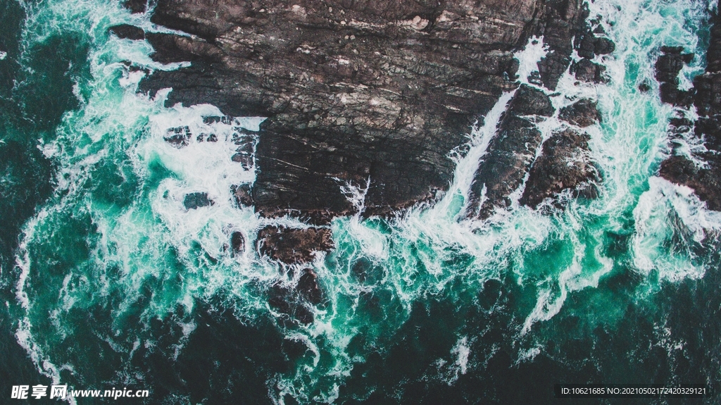 海洋             