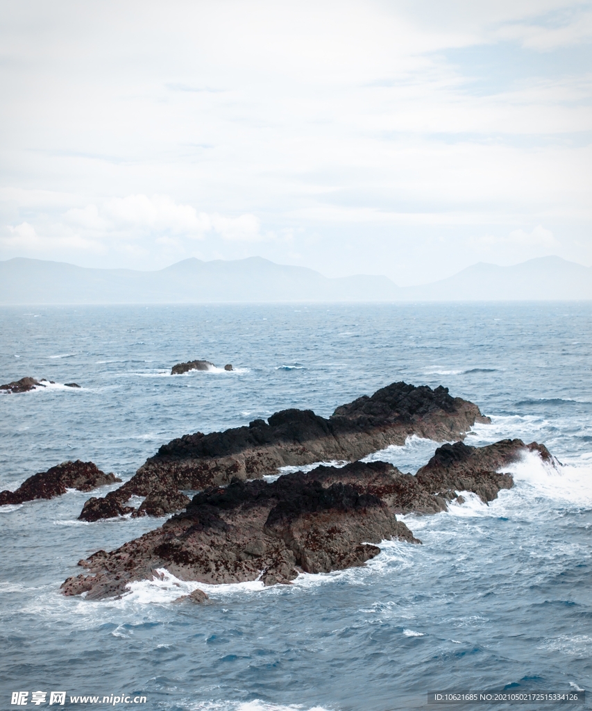 海洋             