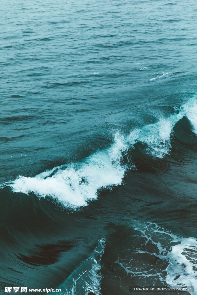 海洋             