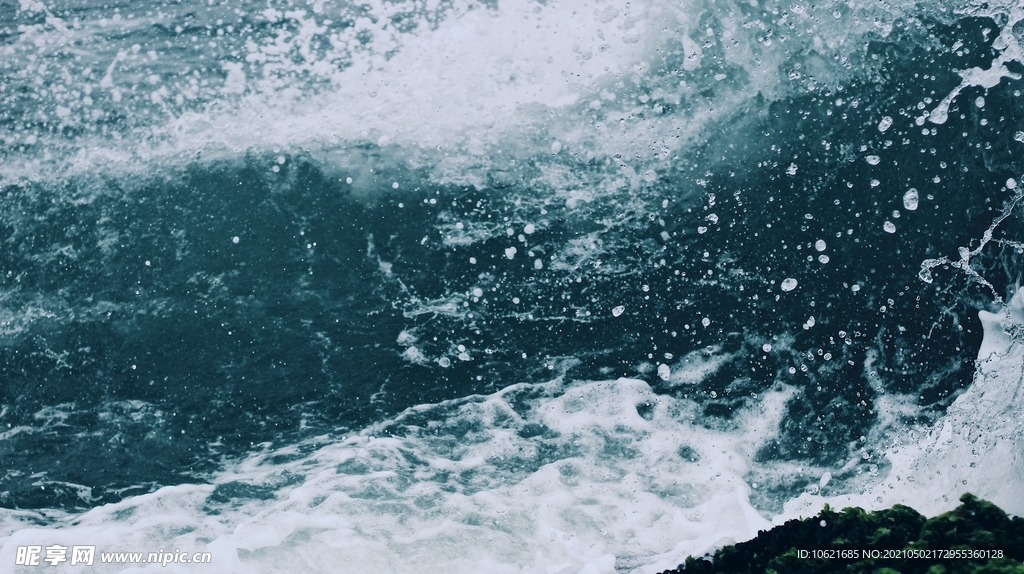海洋             