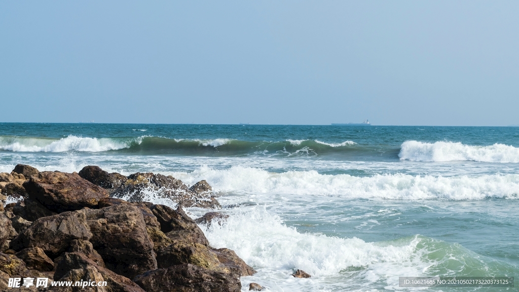 海洋             