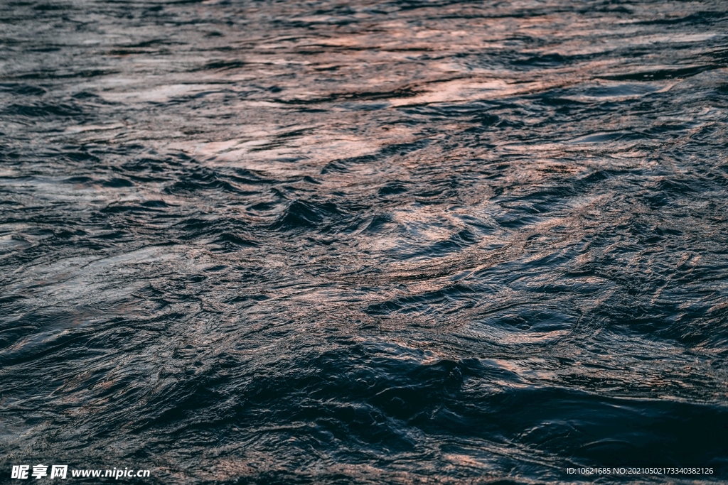 海洋             