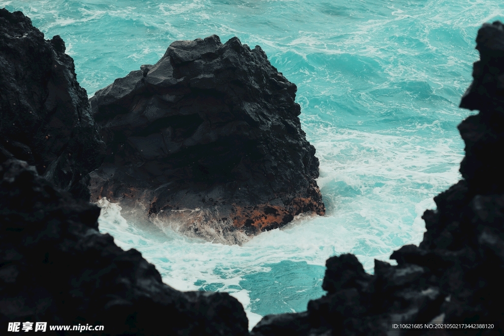 海洋             