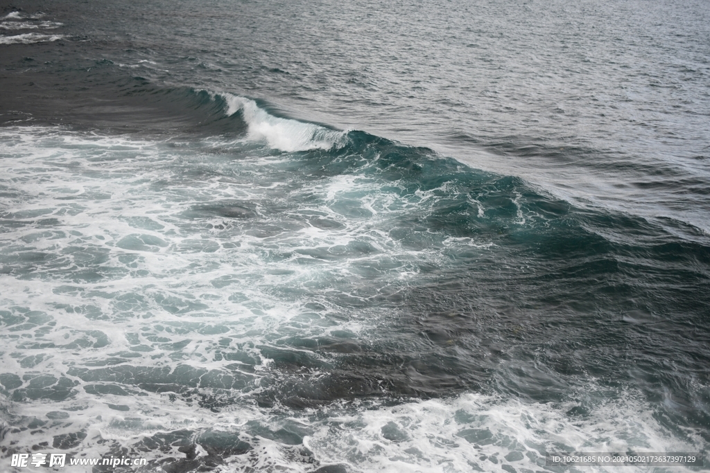 海洋             