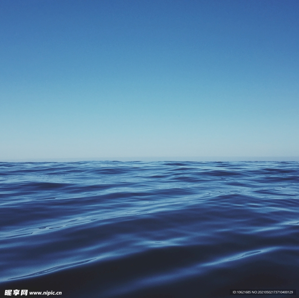 海洋             