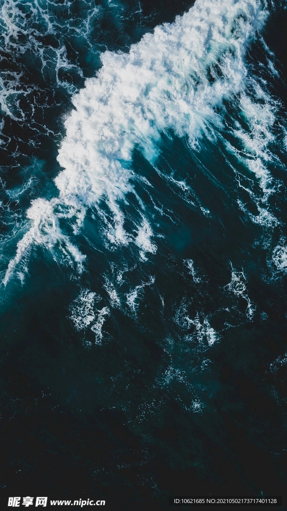海洋             