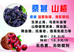 桑椹采摘节