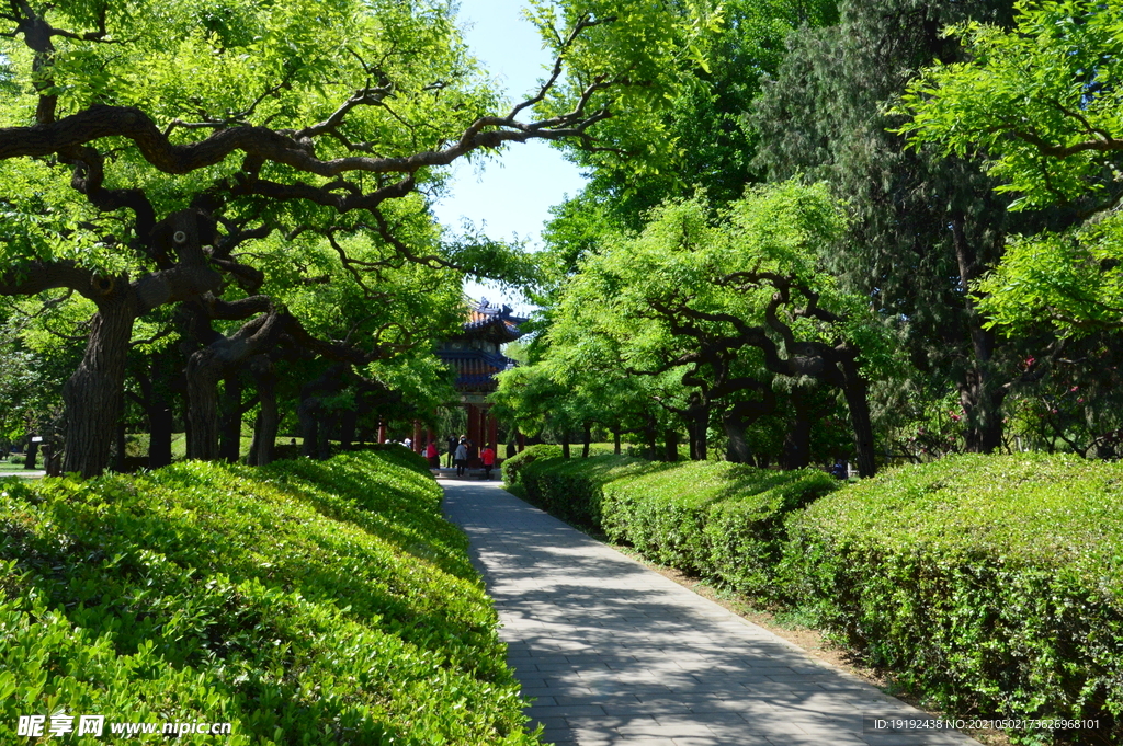 园林风景