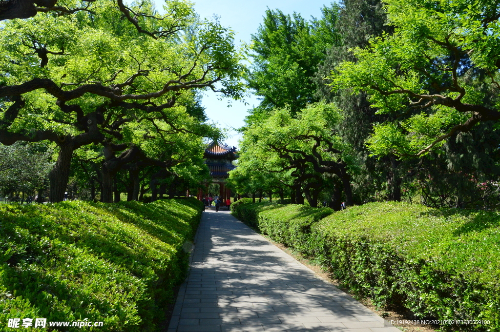 园林风景