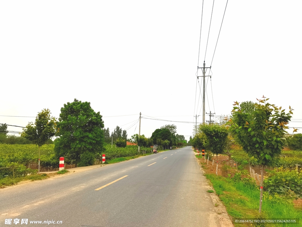 美丽的乡村道路风景