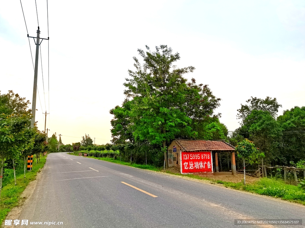 美丽的乡村道路风景