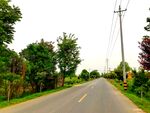 美丽的乡村道路风景