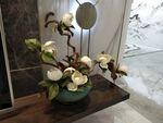 玉兰花