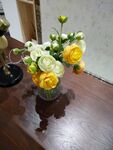 月季花