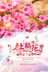 杜鹃花海报