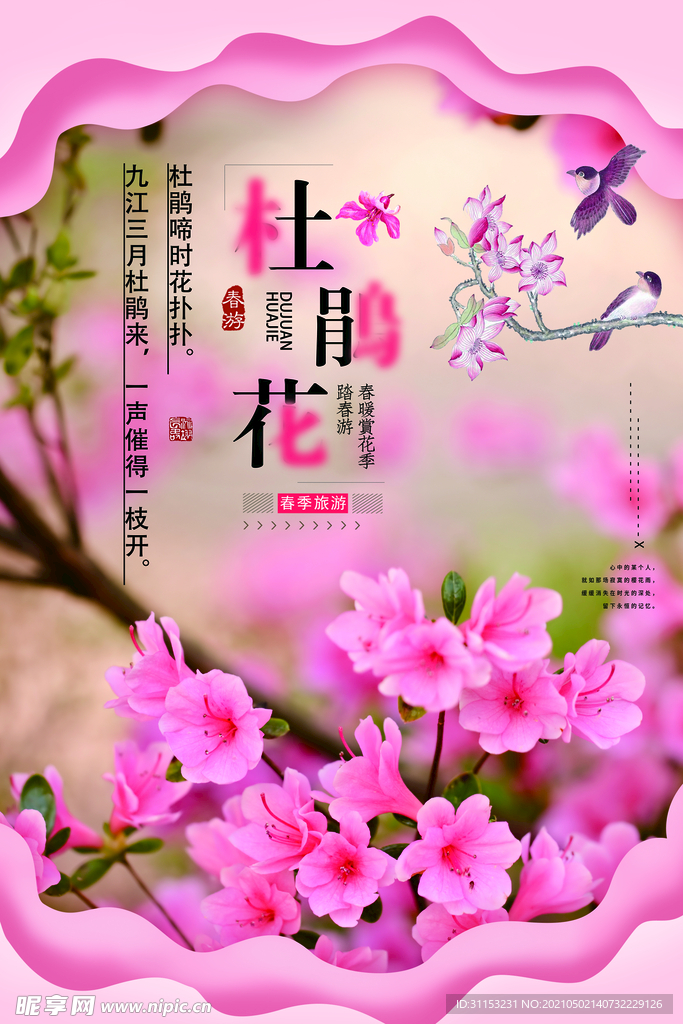 杜鹃花海报