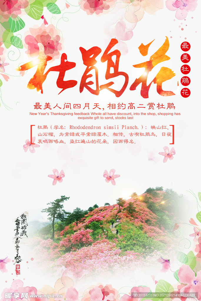 杜鹃花海报