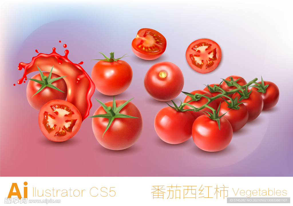 番茄西红柿 矢量蔬菜水果