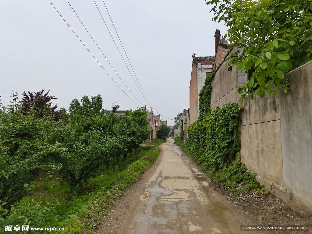 空荡荡的乡村道路风景