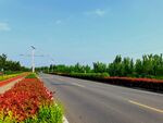 美丽的乡村道路风景