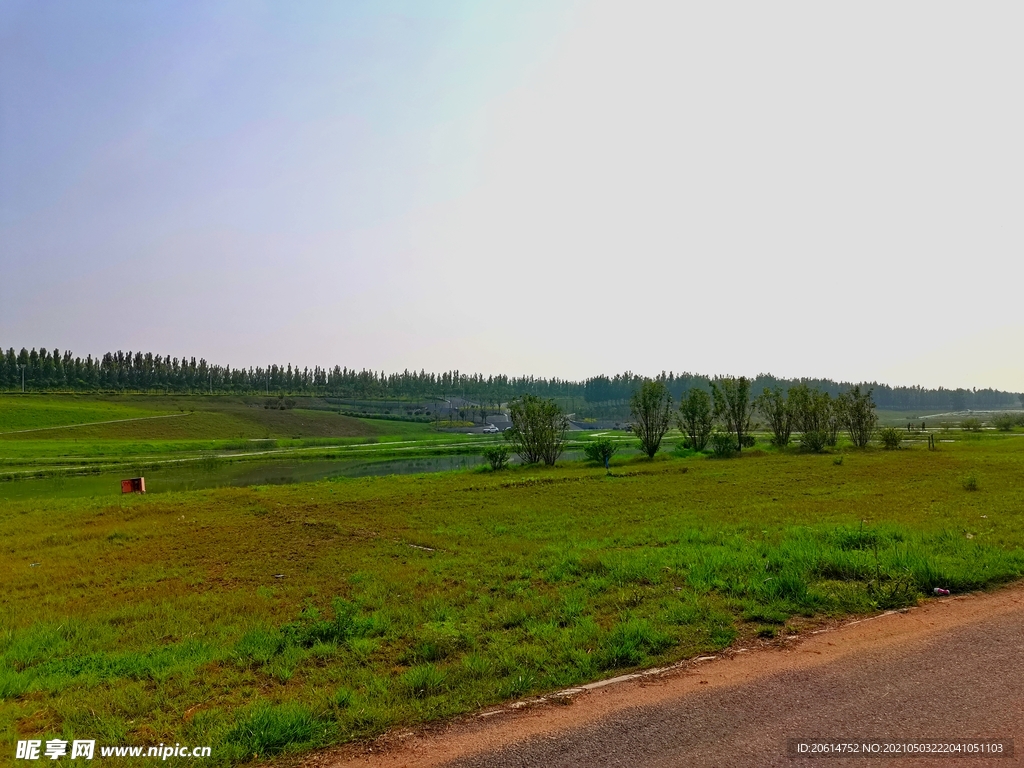 美丽的草原风景