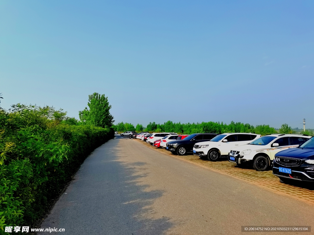 乡村道路风景