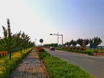 盛夏的乡村道路风景