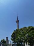 东方明珠