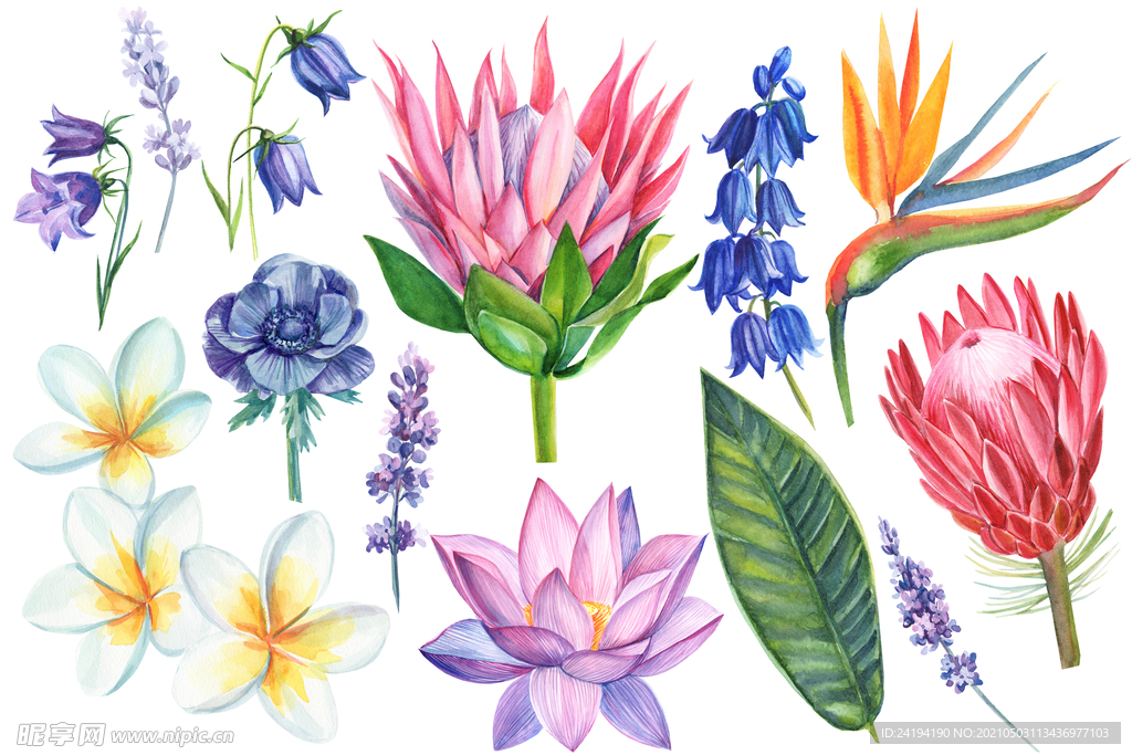 素材花