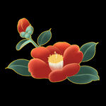 山茶花
