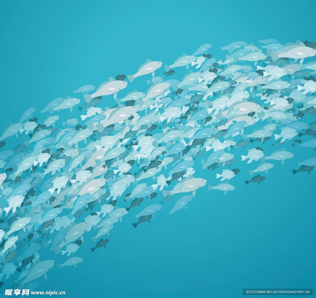 美丽银色深海鱼群