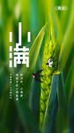 二十四节气小满APP启动页ui