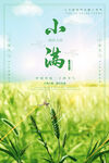 小满节气海报