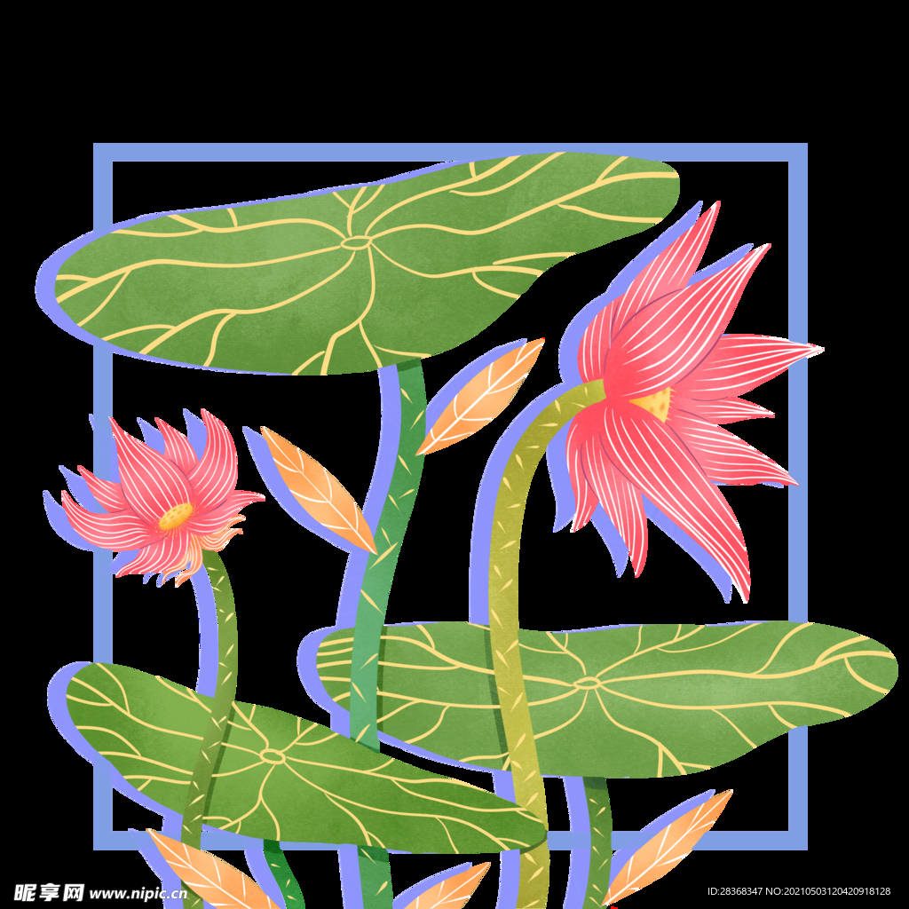 手绘荷花 