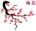 梅花