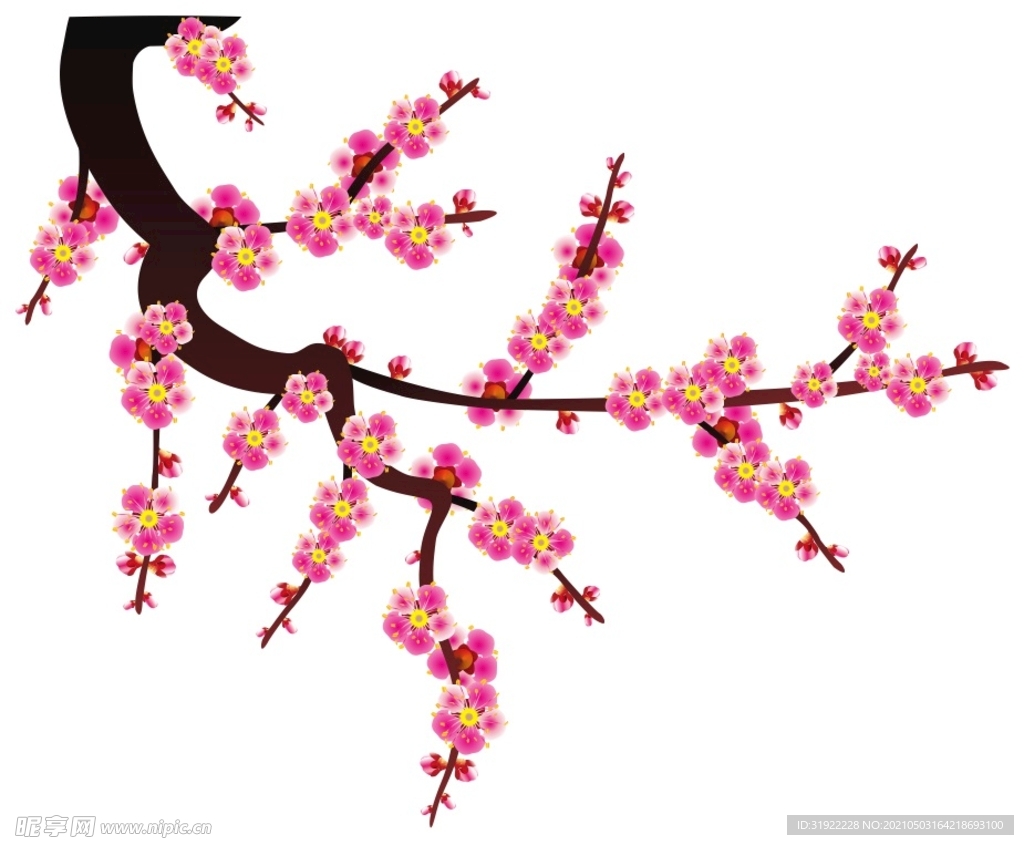 梅花
