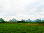 风景