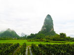 风景