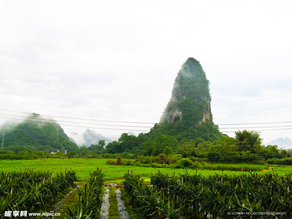 风景