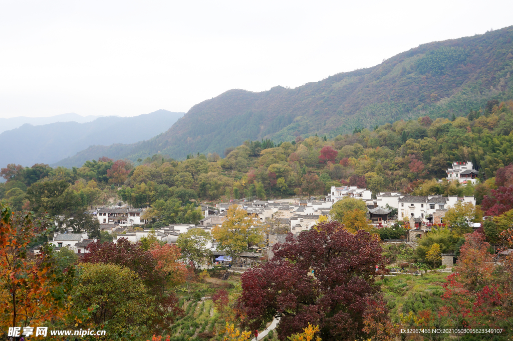 塔川秋色