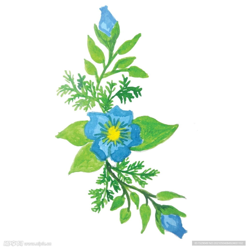 矢量水彩花朵