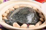 甲鱼汤